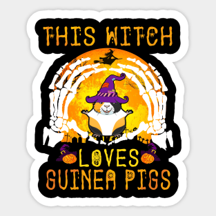 This Witch Loves Guinea Pigs Halloween (97) Sticker